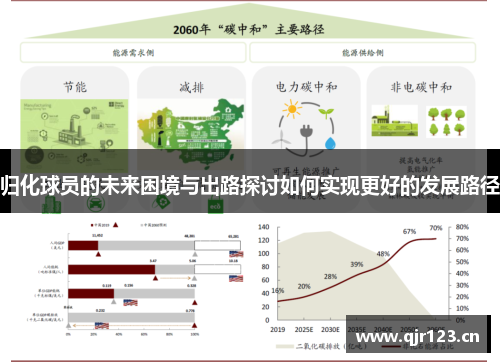 归化球员的未来困境与出路探讨如何实现更好的发展路径