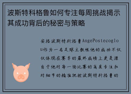 波斯特科格鲁如何专注每周挑战揭示其成功背后的秘密与策略